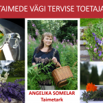 Eesti taimede vägi Angelika Somelar