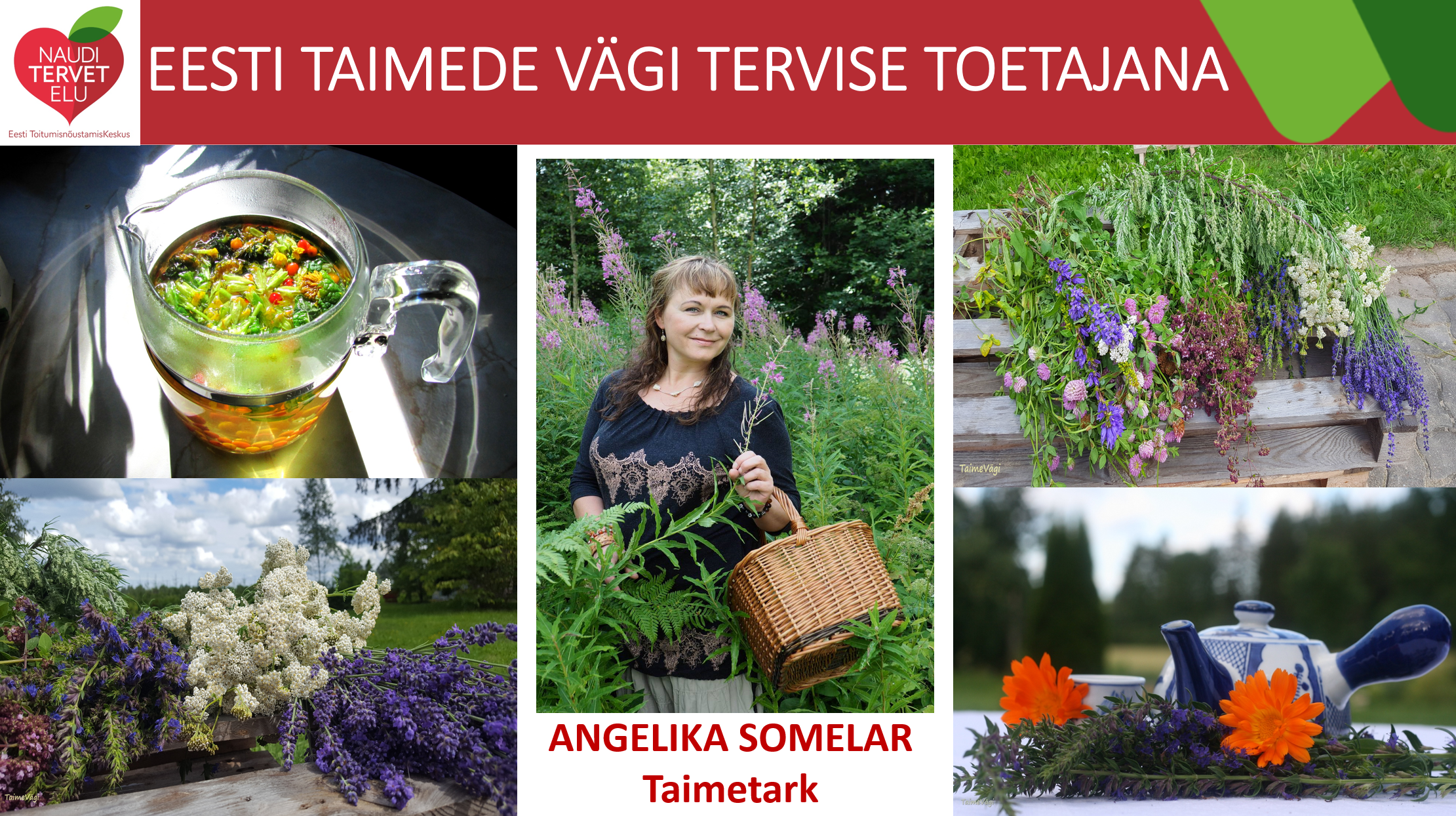 Eesti taimede vägi Angelika Somelar